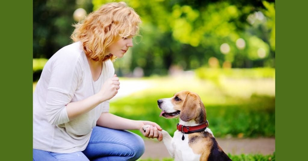 is dog training worth it